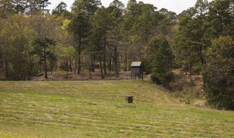 452533 E 1637 Rd, Albion, OK 74521