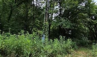 14163 Highway C, Annapolis, MO 63620