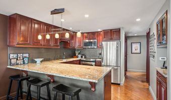 731 S Mill St 2C, Aspen, CO 81611