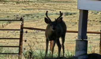 2426 Dixie Creek Rd, Cambridge, ID 83610