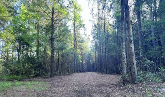 Jarvis Landing Road, Aurora, NC 27806