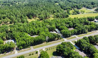1184 Blackberry Cir, Baker, FL 32531