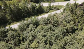 LOT 2 E WEST RESORT ROAD, Alanson, MI 49706