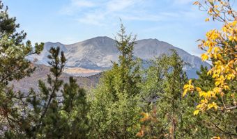 635 Cedar Dr, Basalt, CO 81621