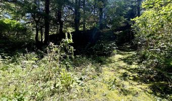 95629 CAPE FERRELO Rd, Brookings, OR 97415