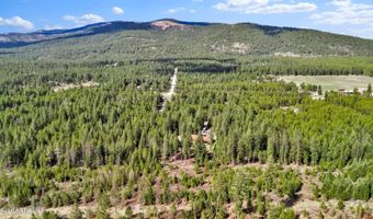 181 E Deer Meadow Ln, Blanchard, ID 83804
