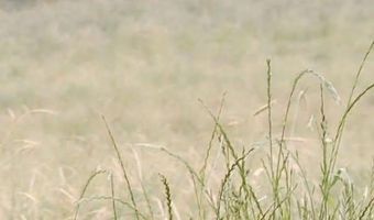 141 Holcomb Spur NW, Adairsville, GA 30103