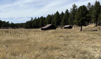 Forest Road 26 lot B, Alpine, AZ 85920