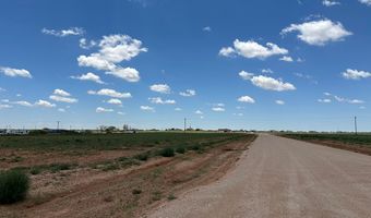 SE CR 2870, Andrews, TX 79714