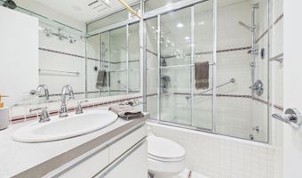 915 E Hopkins Ave 4, Aspen, CO 81611