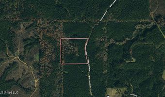 2 Henry Cannon Rd, Braxton, MS 39044