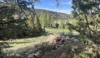 2820 N Dead Horse Lp, Alton, UT 84710
