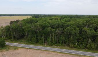 Lot 2 Cedar Grove Church Road, Felton, DE 19943