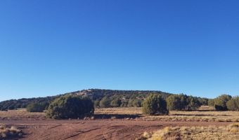 Lot 35 CR 8281, Concho, AZ 85924