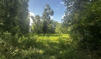 137 Shorter Rd, Braxton, MS 39044