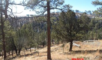 Lake Shore Drive 1, Alto, NM 88312