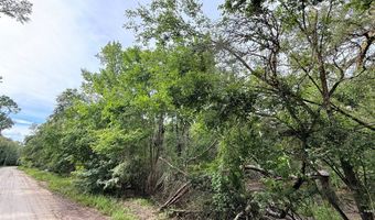 0000 73rd Way, Bell, FL 32619