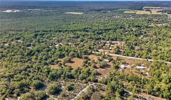 11751 NE 116TH St, Archer, FL 32618