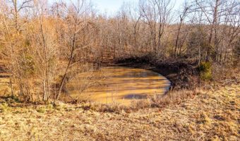 404 County Road 309, Alton, MO 65606