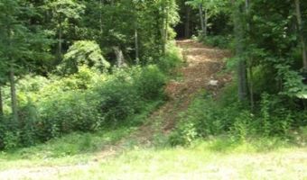 8 63ac Gravely Hill Rd, Bethpage, TN 37022