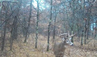2423 9th Dr, Adams, WI 53910