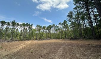 2 Champion Hill Rd, Bolton, MS 39041