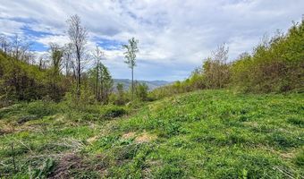 2789 Dry Fork Rd, Bandy, VA 24602