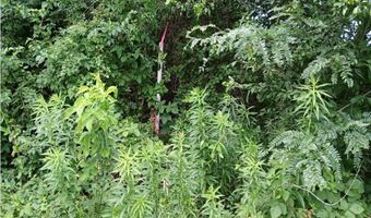 Silver Creek Rd, Alhambra, IL 62001