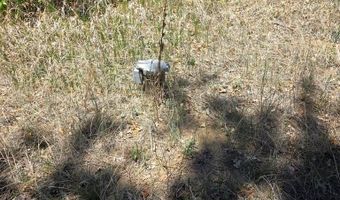 17775 County Road 51, Boncarbo, CO 81024
