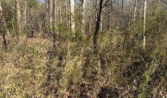 1114 Reedy Creek Rd, Bradley, SC 29819