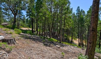 2690 Cheyenne Way, Arnold, CA 95223