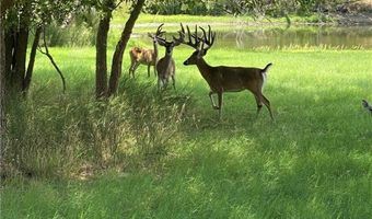 10745 Rosemar Ln, Adkins, TX 78101