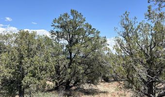 61 Colt Ct Ne4 Rd, Ash Fork, AZ 86320