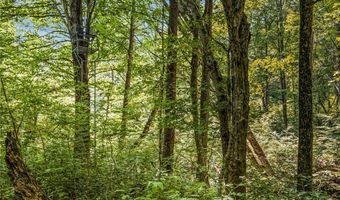 8357 Middle Rd, Angelica, NY 14709