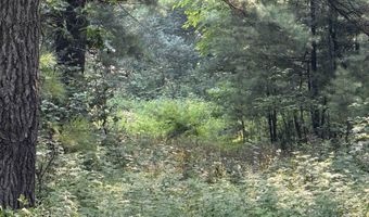 3158 County Road B, Grand Marsh, WI 53936