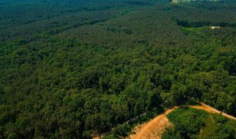 0 County Road 217, Blue Springs, MS 38828