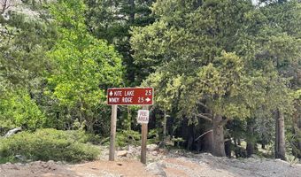 847 County Road 787, Alma, CO 80420