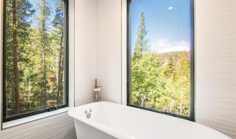 11336 County Road 742, Almont, CO 81210