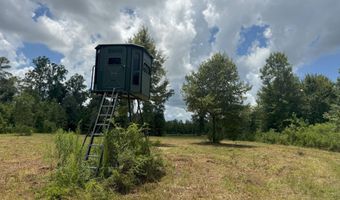 Beltline Drive, Brookhaven, MS 39601