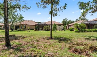 137 SILVER FALLS Dr, Apollo Beach, FL 33572