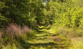 Beech Bluff Road, Beech Bluff, TN 38313