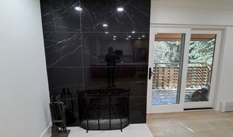 910 W Hallam St 12, Aspen, CO 81611