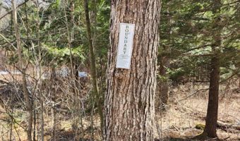 0 Clarks/Woodland Trl 409-4, Alexandria, NH 03220