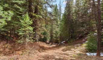 219 Tripod View Dr Lot 5, Cascade, ID 83611