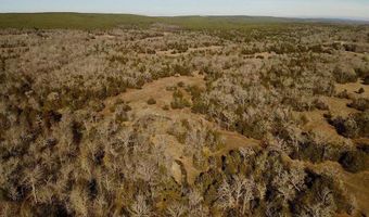 Lake OZZIE COBB 102-B, Antlers, OK 74523