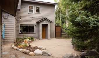 133 Gold Run Rd, Alma, CO 80440