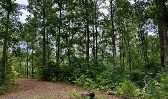 158 Fisher Turnpike Rd Lot 3, Arapahoe, NC 28510