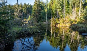 Trout Pond TL206 LN, Bandon, OR 97411