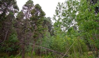 22954 Mt. Elbert Dr, Aguilar, CO 81020