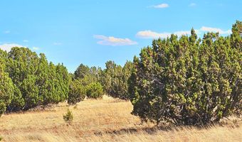 20 CO Rd, Concho, AZ 85924